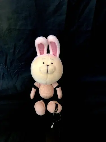 In stock 20471120 Rabbit Hyoma soft toys♪ #PCJBQB