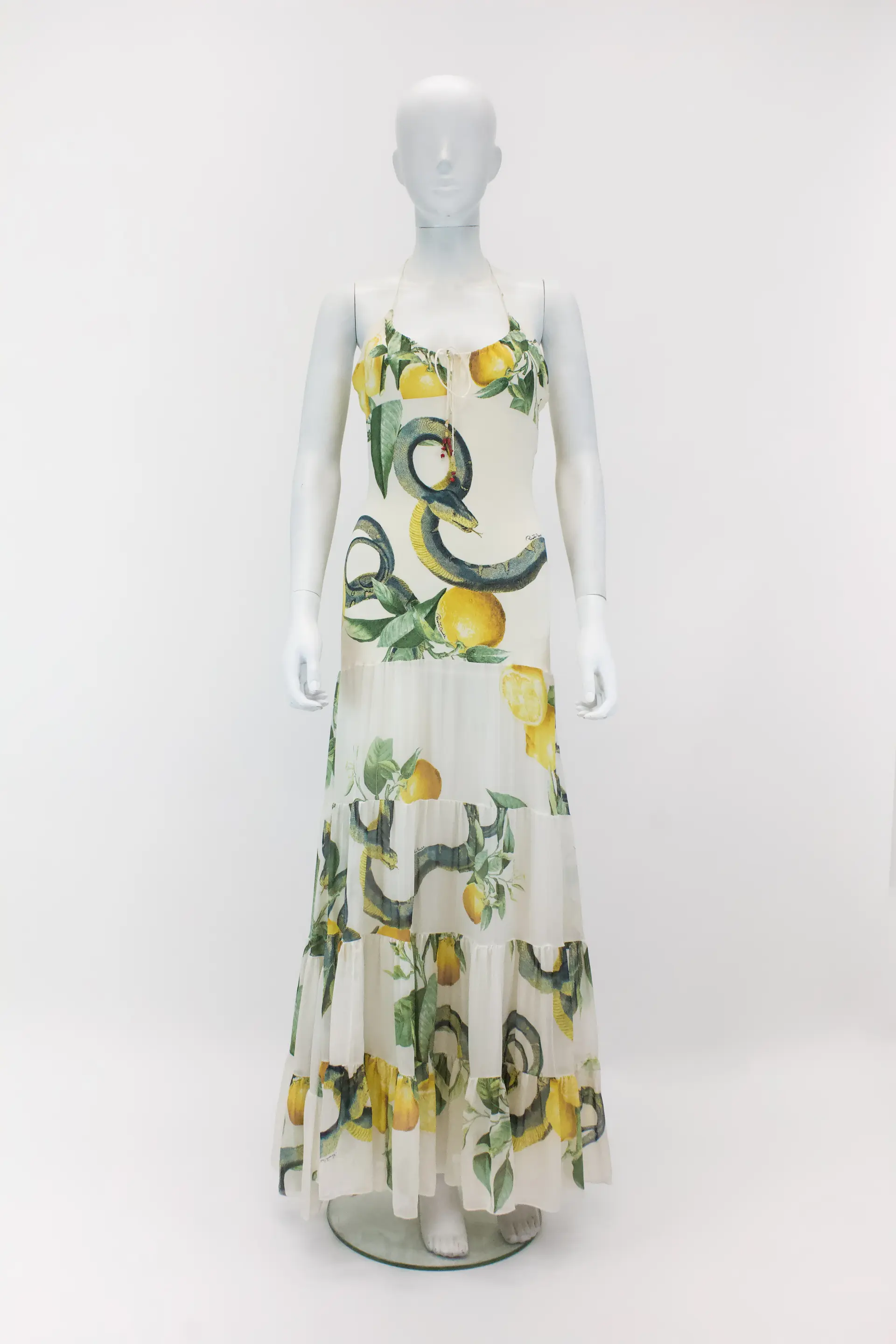 Roberto Cavalli 2005 Silk Dress gallery